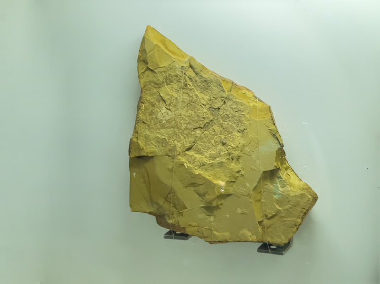 黃葛樹丨朱一平：帽天山，面對(duì)一條魚