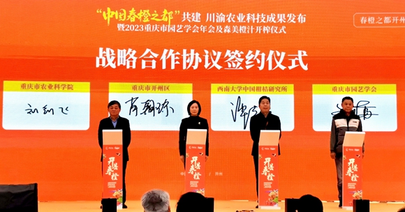 戰(zhàn)略合作協(xié)議簽約儀式。陳泓瑩 攝